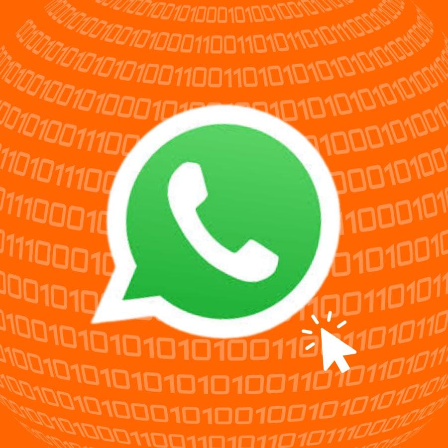Grupos